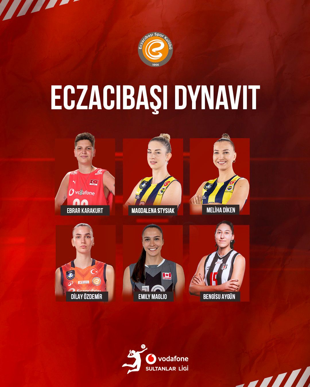 阿莱克西奇, 排球员